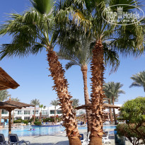 фото из отзыва ID 2117156