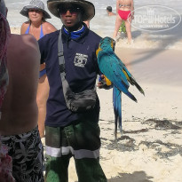 фото из отзыва ID 2117171