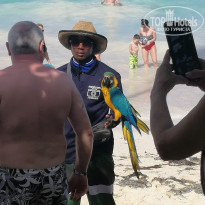 фото из отзыва ID 2117171