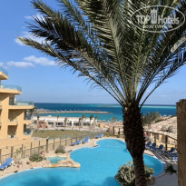 фото из отзыва ID 2117244