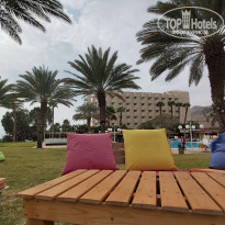 фото из отзыва ID 2117266