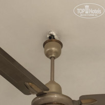 фото из отзыва ID 2117300