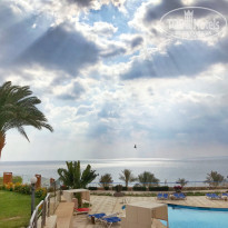 фото из отзыва ID 2117303