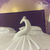 фото из отзыва ID 2117311