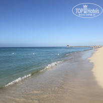 фото из отзыва ID 2117347