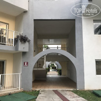 фото из отзыва ID 2117333