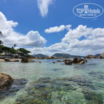 фото из отзыва ID 2117351