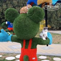 фото из отзыва ID 2117364