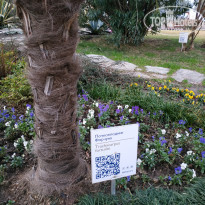 фото из отзыва ID 2117364