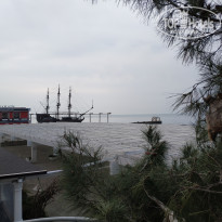 фото из отзыва ID 2117364