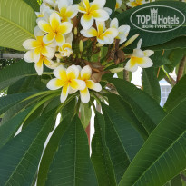 фото из отзыва ID 2117386