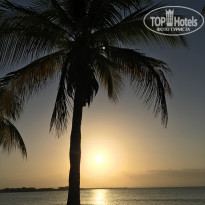 фото из отзыва ID 2117396