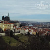 фото из отзыва ID 2117444