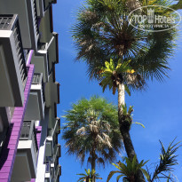 фото из отзыва ID 2117465