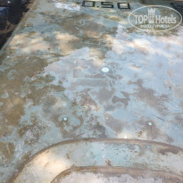 фото из отзыва ID 2116164