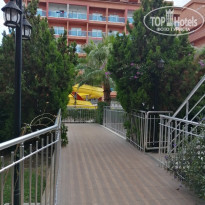 фото из отзыва ID 2117623