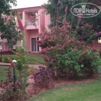 фото из отзыва ID 2117685