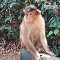 фото из отзыва ID 2117685