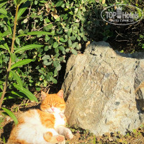 фото из отзыва ID 2117698