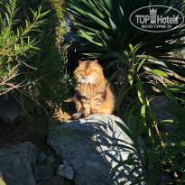 фото из отзыва ID 2117698