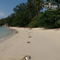 фото из отзыва ID 2117731