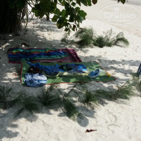 фото из отзыва ID 2117731