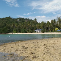 фото из отзыва ID 2117731