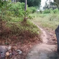 фото из отзыва ID 2117731