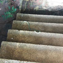 фото из отзыва ID 2117731