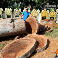 фото из отзыва ID 2117731