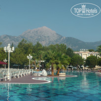 фото из отзыва ID 2117845