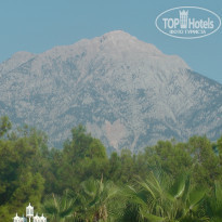 фото из отзыва ID 2117845