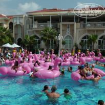 фото из отзыва ID 2117845