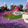 фото из отзыва ID 2117881