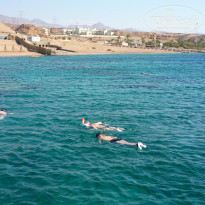 фото из отзыва ID 2117957