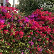 фото из отзыва ID 2118061