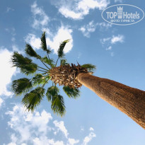 фото из отзыва ID 2118107