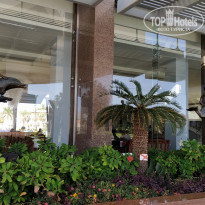 фото из отзыва ID 2118214