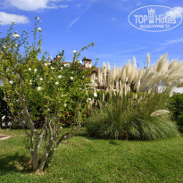 фото из отзыва ID 2118211