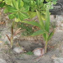 фото из отзыва ID 2114801