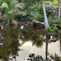 фото из отзыва ID 2118321