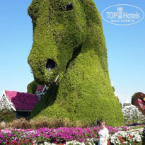 фото из отзыва ID 2118324