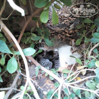 фото из отзыва ID 2118521