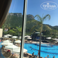 фото из отзыва ID 2113411