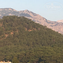 фото из отзыва ID 2113411