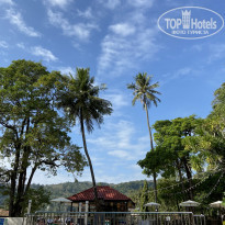 фото из отзыва ID 2118567