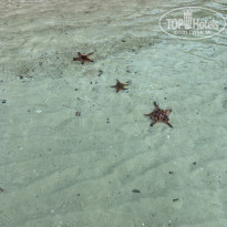 фото из отзыва ID 2117291