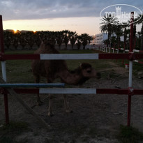 фото из отзыва ID 2118608