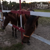 фото из отзыва ID 2118608