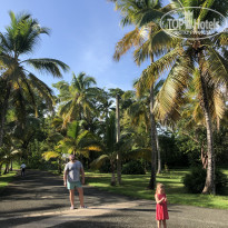 фото из отзыва ID 2112816